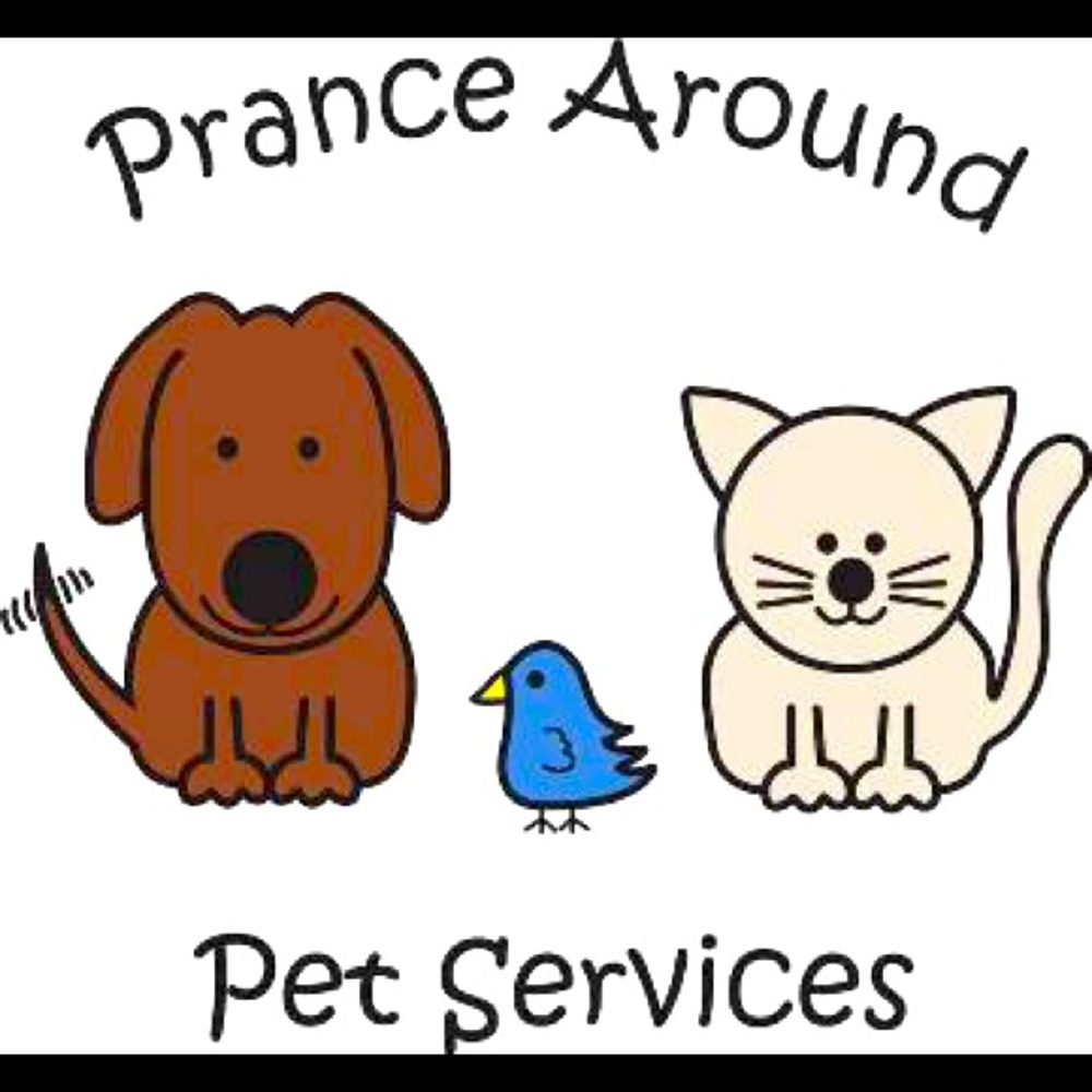 Pet Catalog